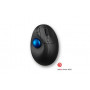 Kensington Pro Fit® Ergo TB450 Trackball pallohiiri  sininen | Rauman Konttoripalvelu Oy