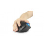 Kensington Pro Fit® Ergo TB450 Trackball pallohiiri  sininen | Rauman Konttoripalvelu Oy