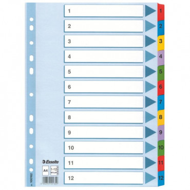 Esselte kartonkirekisteri Mylar 1-12 | Rauman Konttoripalvelu Oy