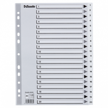 Esselte kartonkirekisteri 1-20 A4 valkoinen | Rauman Konttoripalvelu Oy