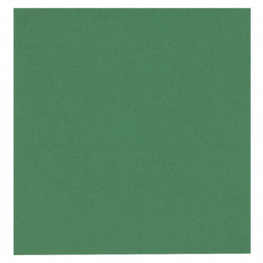 Abena GASTRO-LINE lautasliina vihreä 24x24 2krs ¼-taitto 100kpl | Rauman Konttoripalvelu Oy
