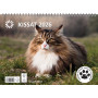 Kissat | Rauman Konttoripalvelu Oy