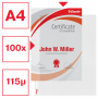 Esselte kansiotasku A4 115 my Heavy Duty (100) | Rauman Konttoripalvelu Oy