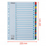 Esselte kartonkirekisteri Mylar 1-20 | Rauman Konttoripalvelu Oy