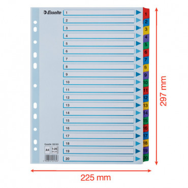Esselte kartonkirekisteri Mylar 1-20 | Rauman Konttoripalvelu Oy